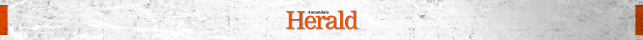 Newspaper Banner