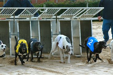 Greyhounds: Jetski powers ahead in sprint trip