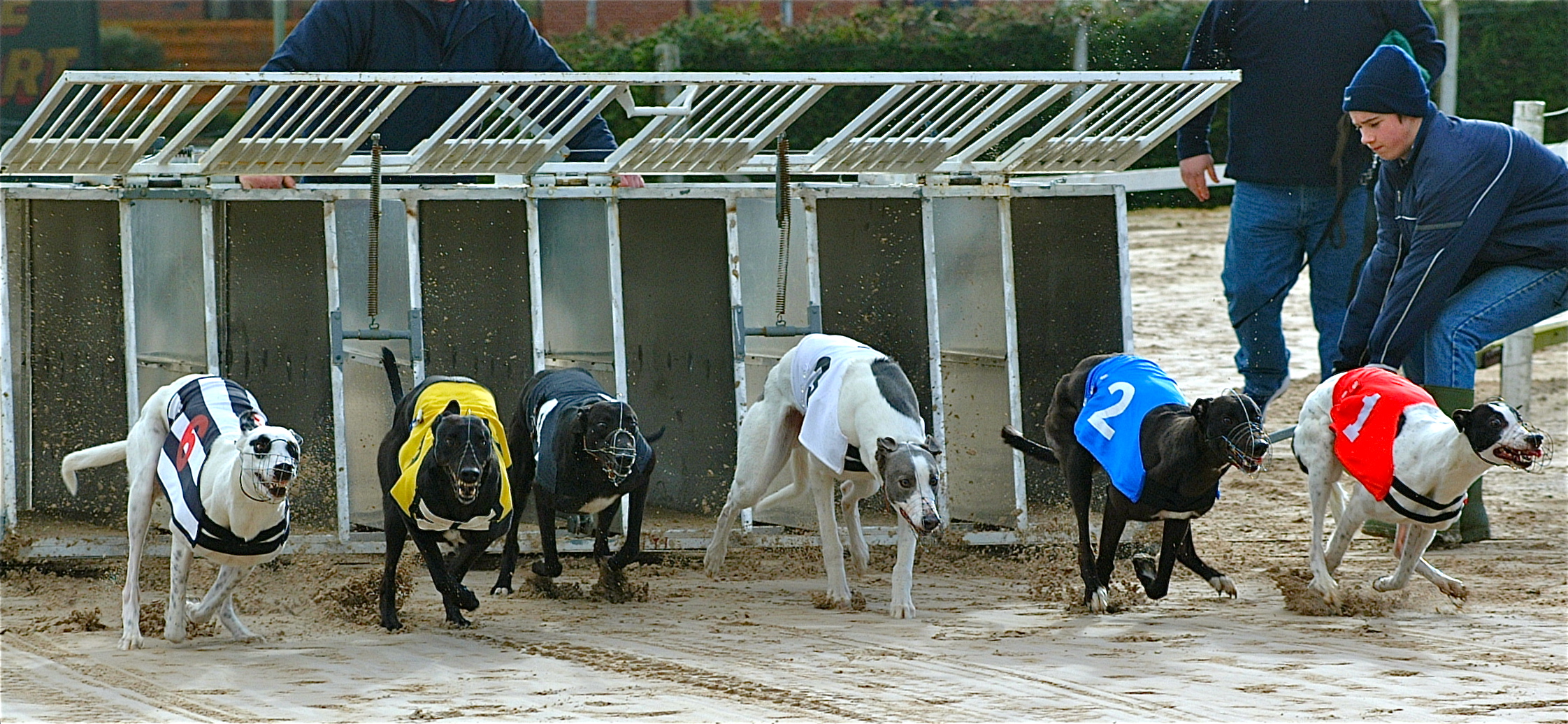 Greyhounds: Jetski powers ahead in sprint trip