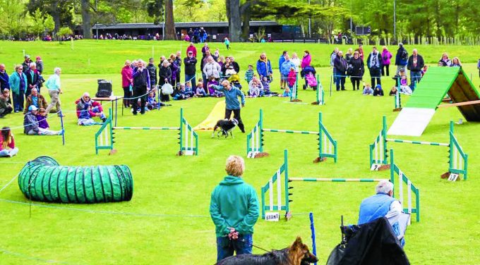 DEMONSTRATION . . . a dog agility demonstration was one of the attractions