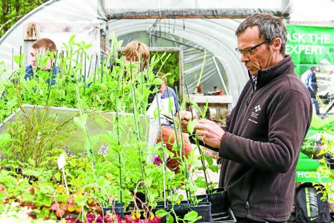 PLANTING TIPS . . . expert advice was on offer along with plant sales