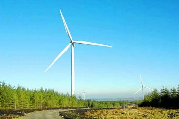 Forest windfarm plan revealed