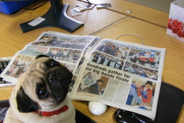 It’s a dog’s life – Bring your dog to work day