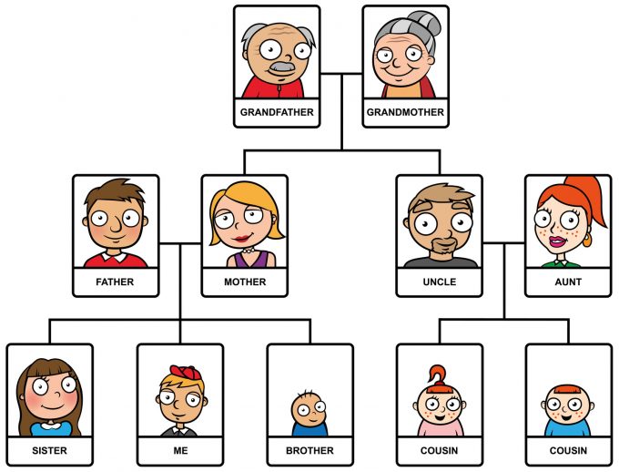 Cartoon vector illustration of family tree