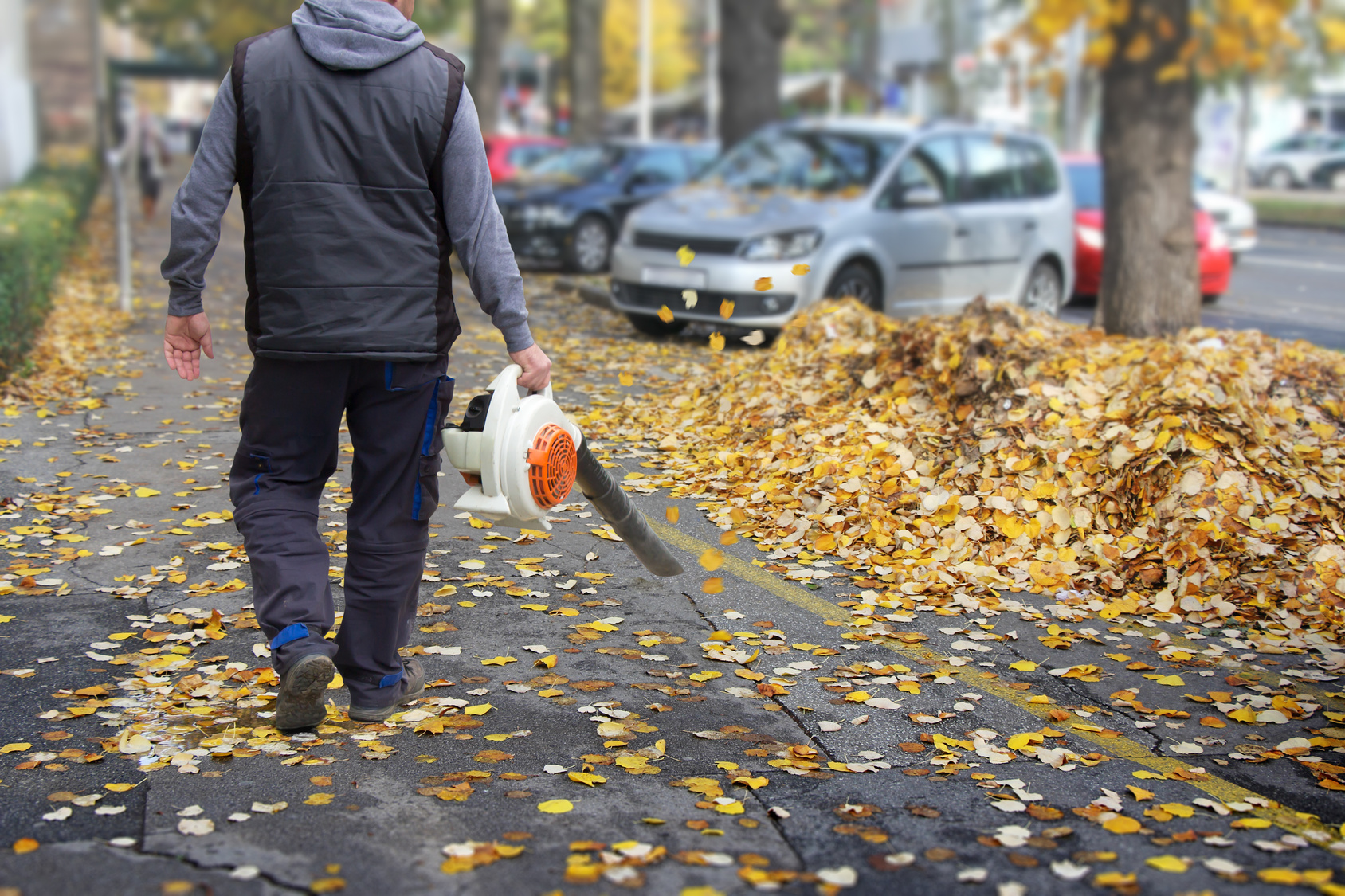'Blow' for workmen after leaf blower theft