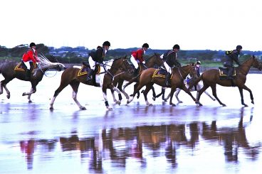 VIDEO: Nets threat fishermen guide horses over Solway sands