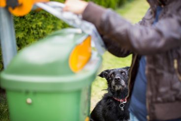 Dog fouling is the top concern in the area