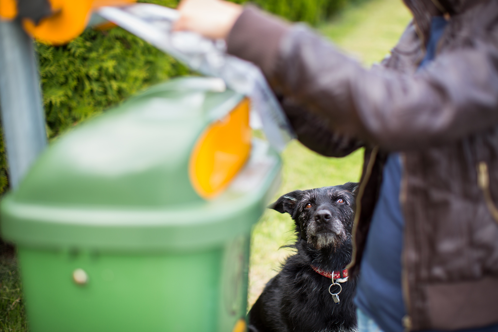 Dog fouling is the top concern in the area