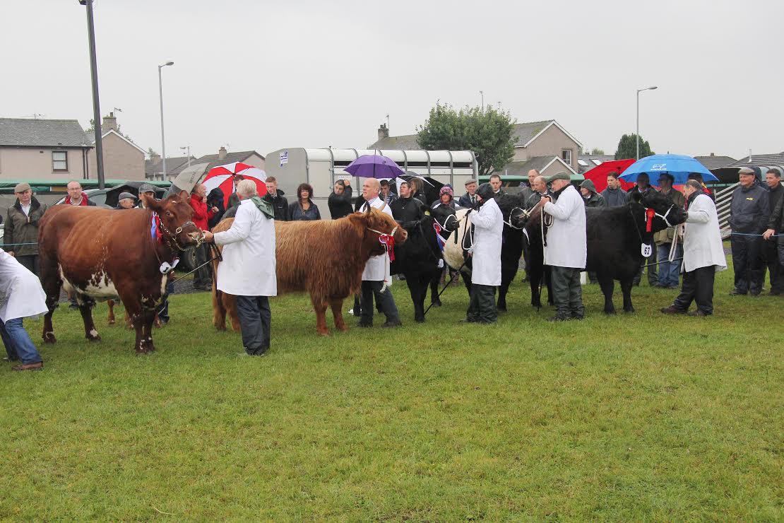 Traffic warning for Dumfries Show