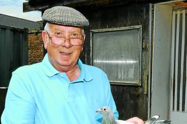 John is flying high after national pigeon race win