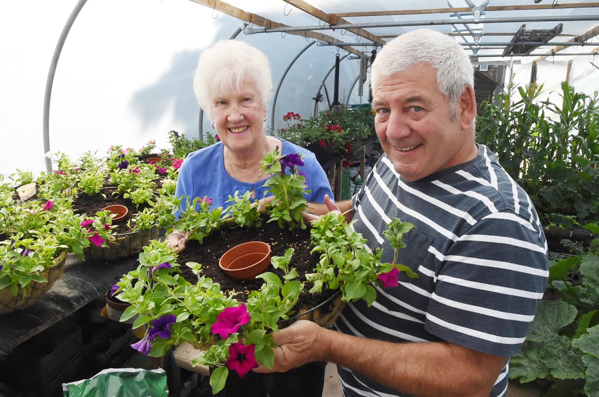 More flower power needed to make town bloom