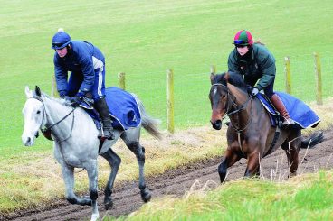 New trainer takes over top racing yard