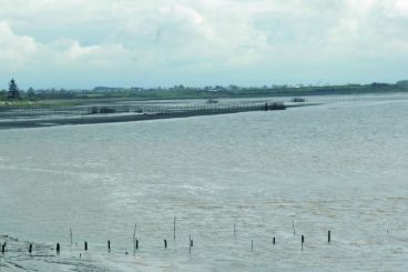 Threat to salmon deal lifted