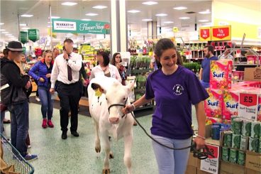 Cow led through supermarket in milk price protest