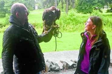 Project aims to boost eagle population