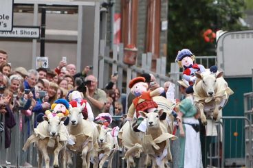 Moffat Sheep Races cancelled