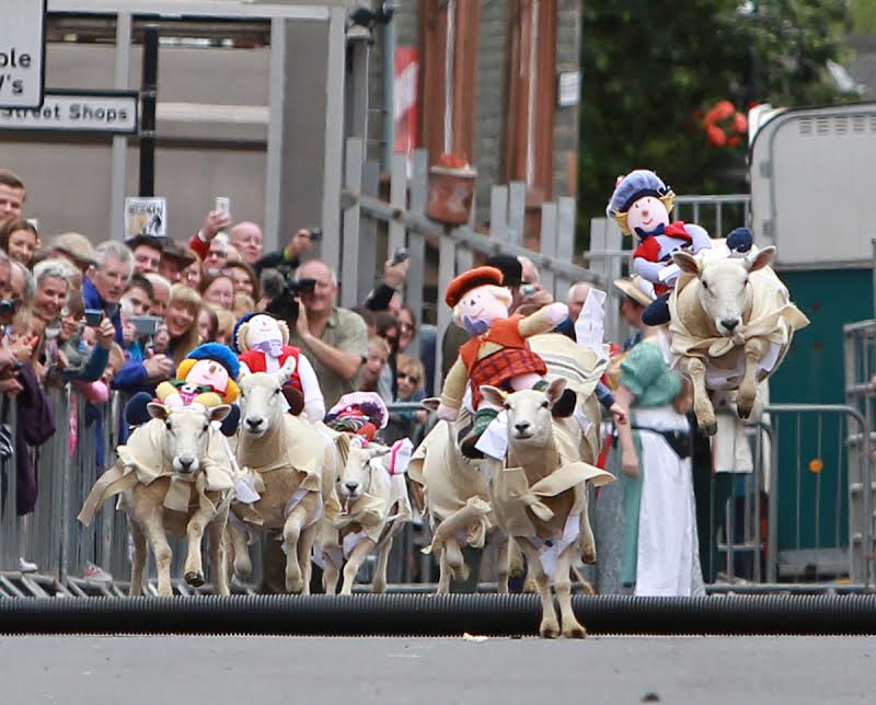 Moffat Sheep Races cancelled