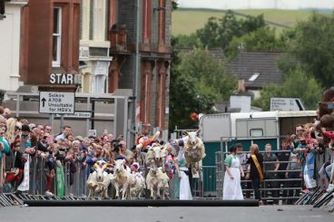 Petition calls for sheep race comeback