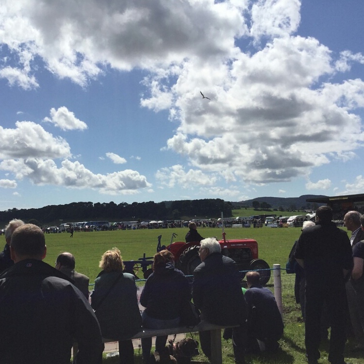 Good weather brings in crowds at Dumfries Show