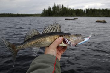 Illegal fishing crackdown