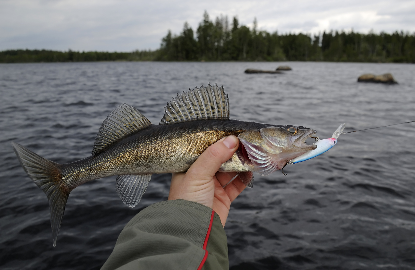 Illegal fishing crackdown