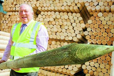 Timber firm notches up 50 million milestone