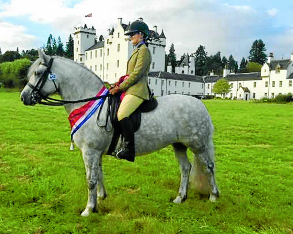 Euro double for pony pair