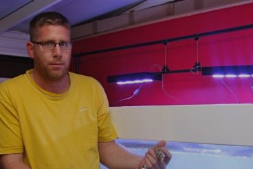 Anguish as vandals kill over 100 pet fish
