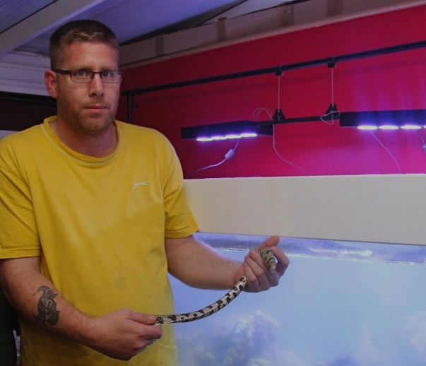 Anguish as vandals kill over 100 pet fish
