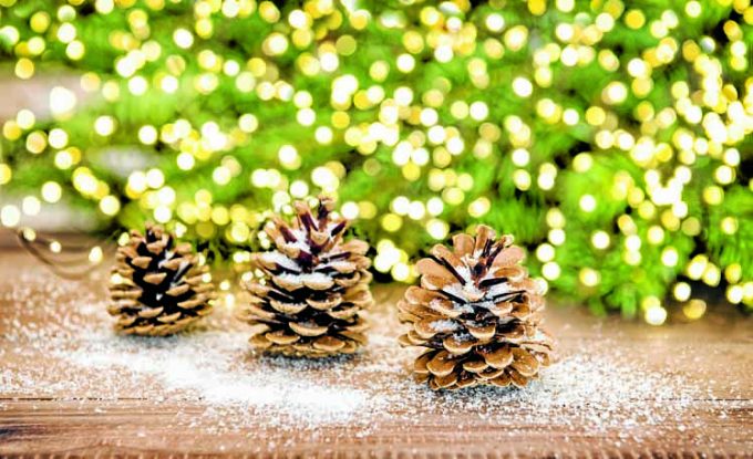 Pine cone and christmas tree branches with lights decoration