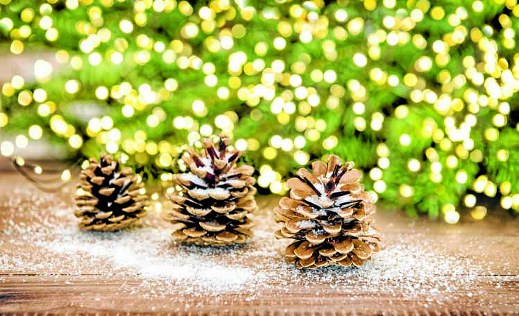 Castle Douglas Christmas lights plea