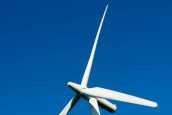Windfarm expansion mooted