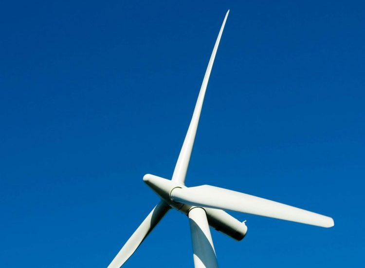 Windfarm expansion mooted