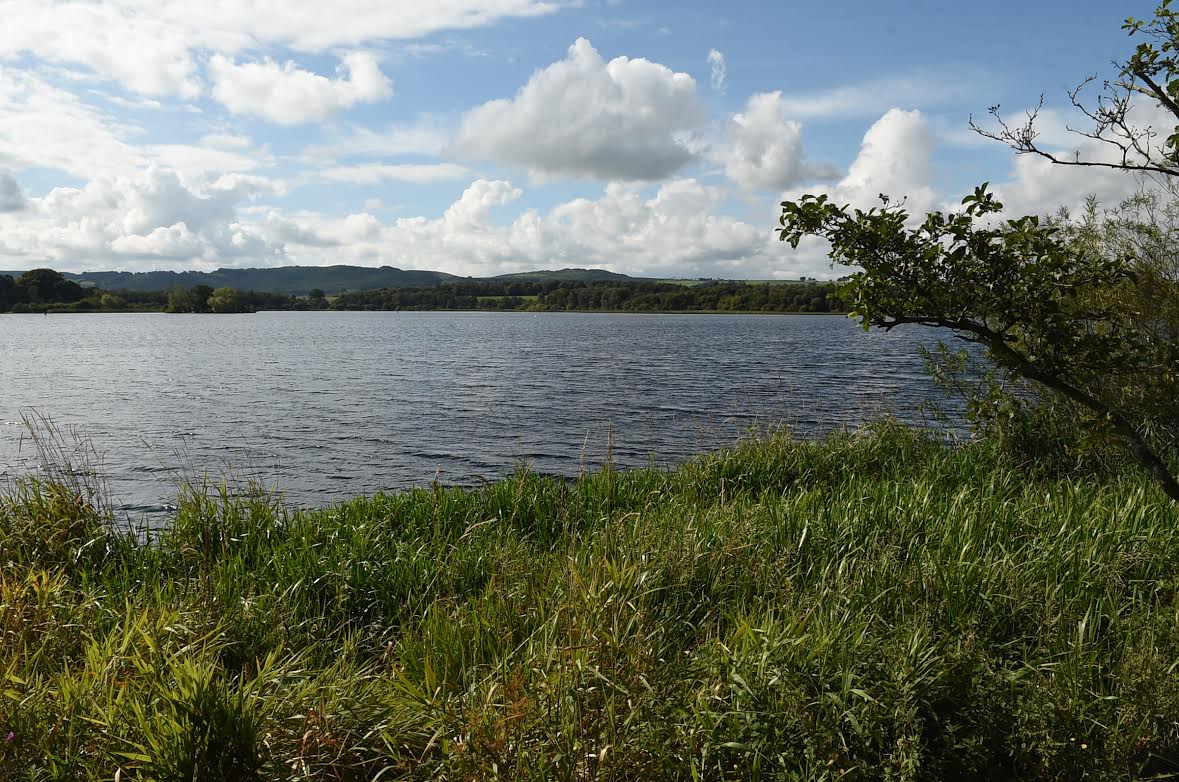 Toxic scum invades loch