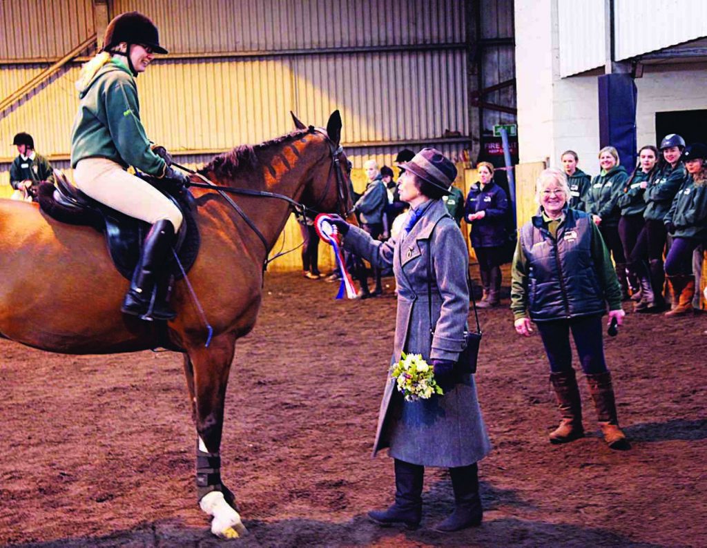 ANNE horses BA 2