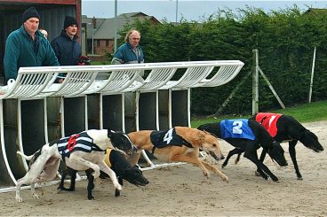 GREYHOUNDS: Hopper dream team double