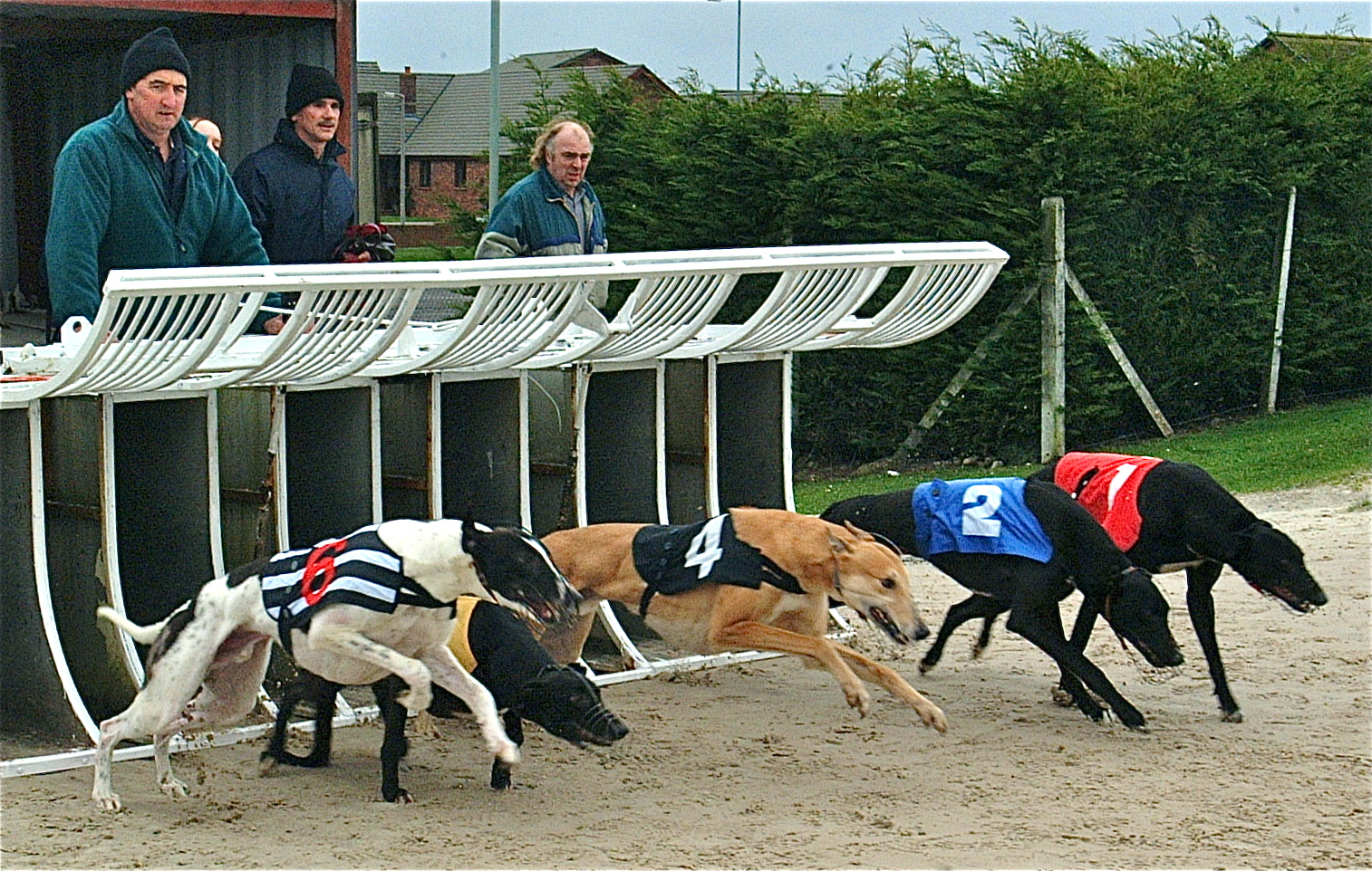 GREYHOUNDS: Hopper dream team double