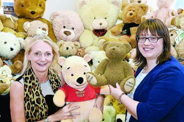Law office becomes Teddy HQ
