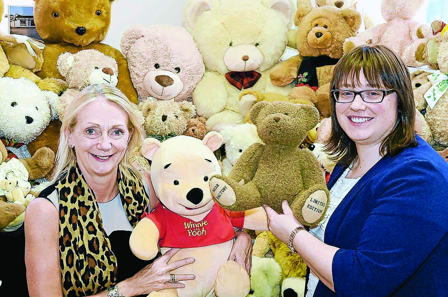 Law office becomes Teddy HQ
