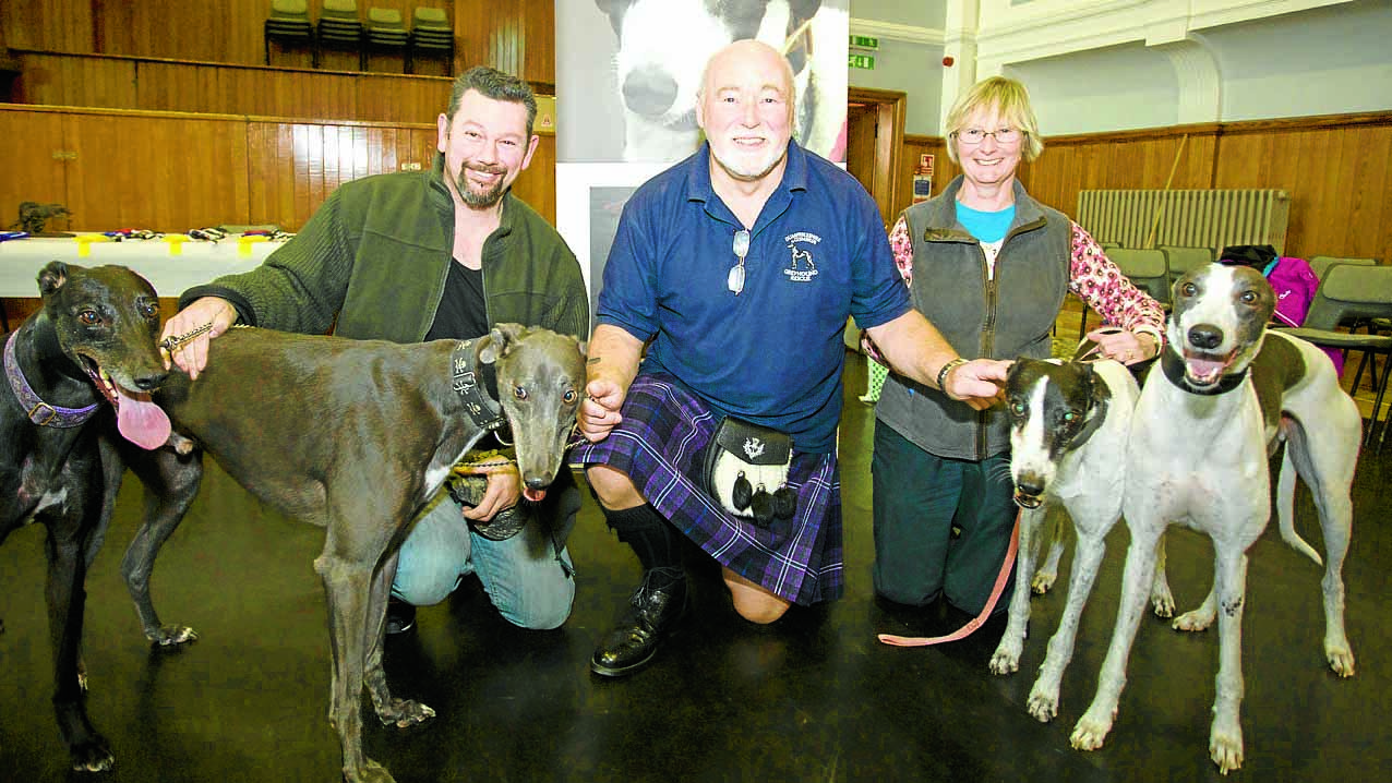 Rescue charity hosts greyhound show