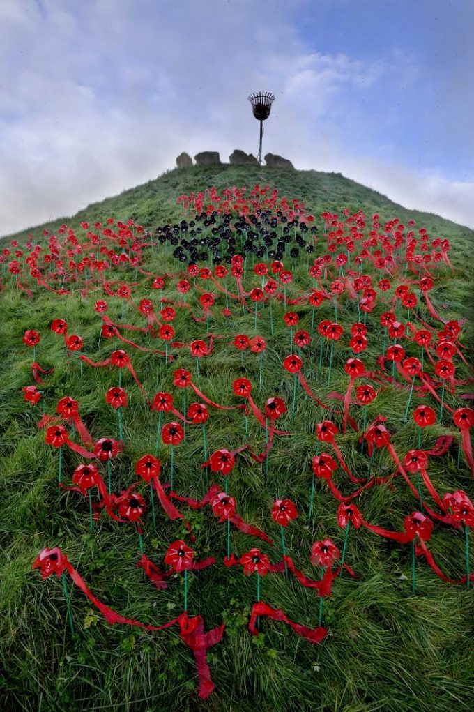 crawick-poppies3