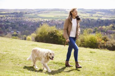 Livestock warning for dog walkers