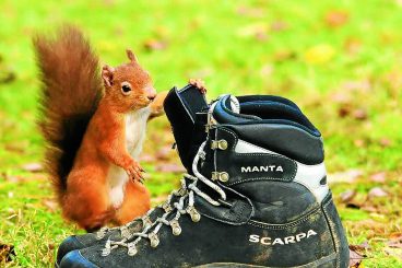 These boots were made for walking . . .