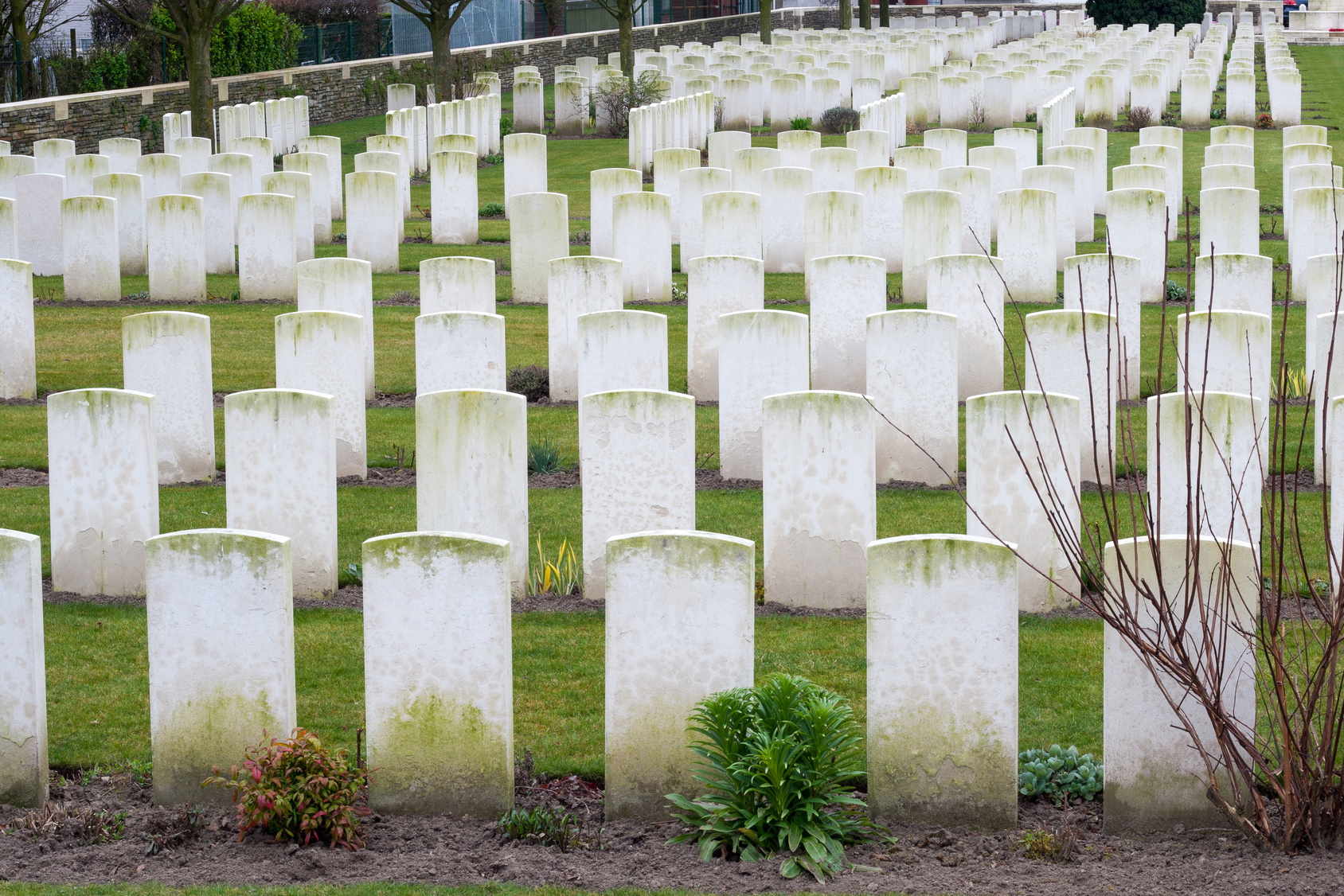 WWI losses worst in Dumfries