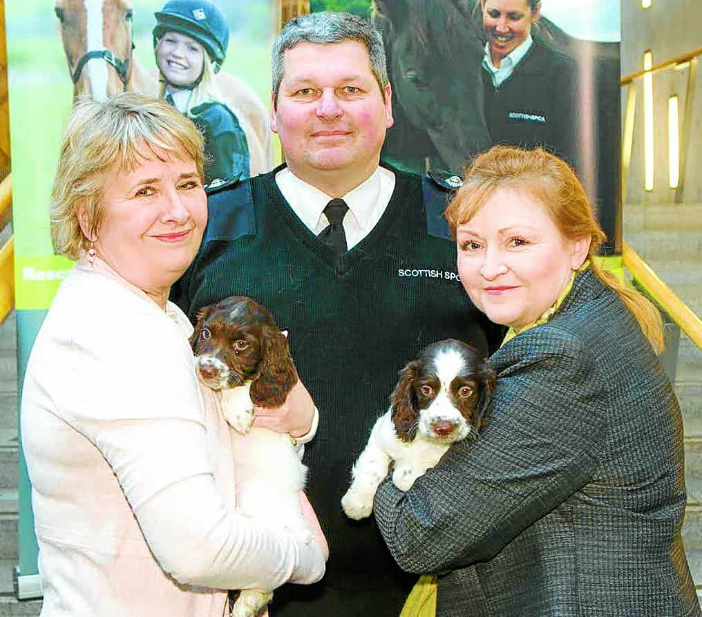 MSP leads puppy trafficking debate