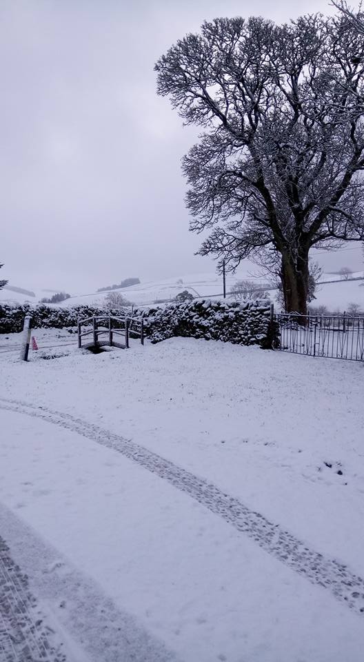 TUNDERGARTH . . . photo from Tanya Lowery