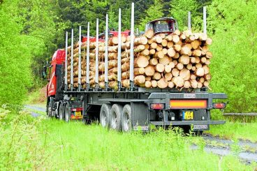 Timber fund to open for bids