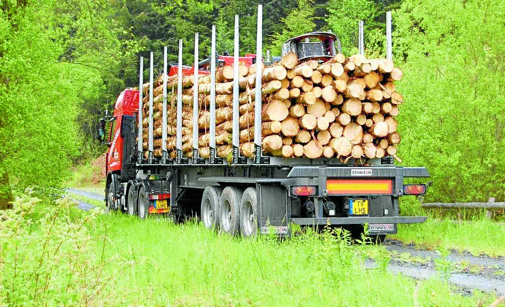 Timber transport fund boost
