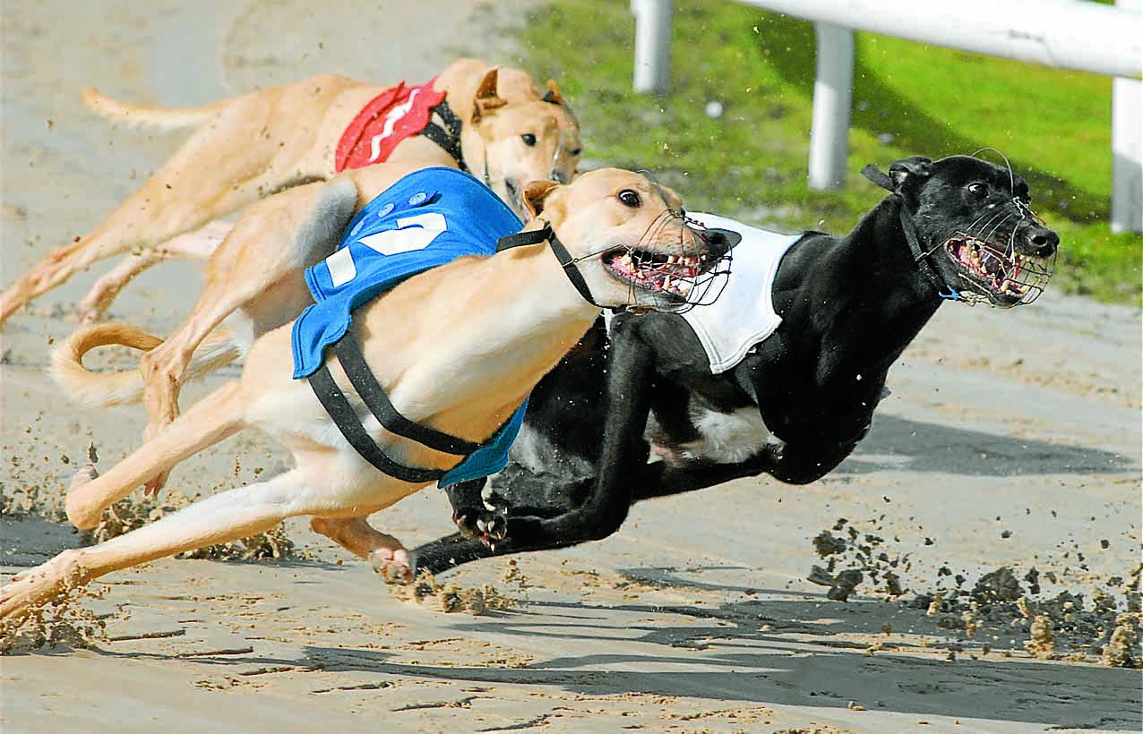 Gretna dog track closes to make way for homes
