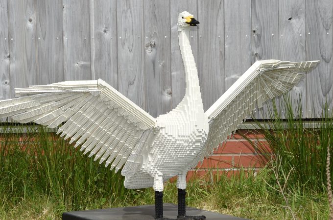 lego wwt caerlaverock